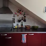 Parisian Flat Under The Roofs