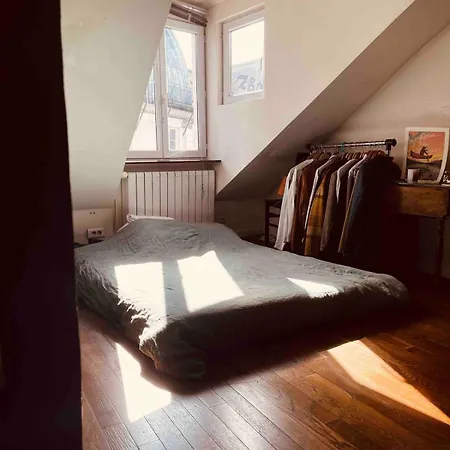 Parisian Flat Under The Roofs Appartamento *